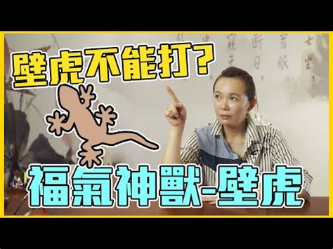 家中突然出現壁虎|風水：家裡進壁虎是什麼寓意？如果是第一種，可一定。